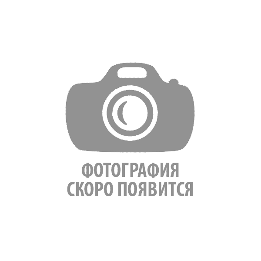 Лейниш Константин Николаевич.